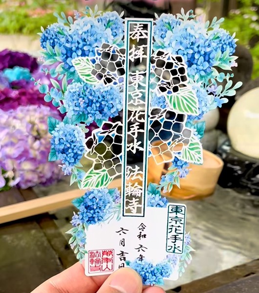 6月紫陽花.jpg